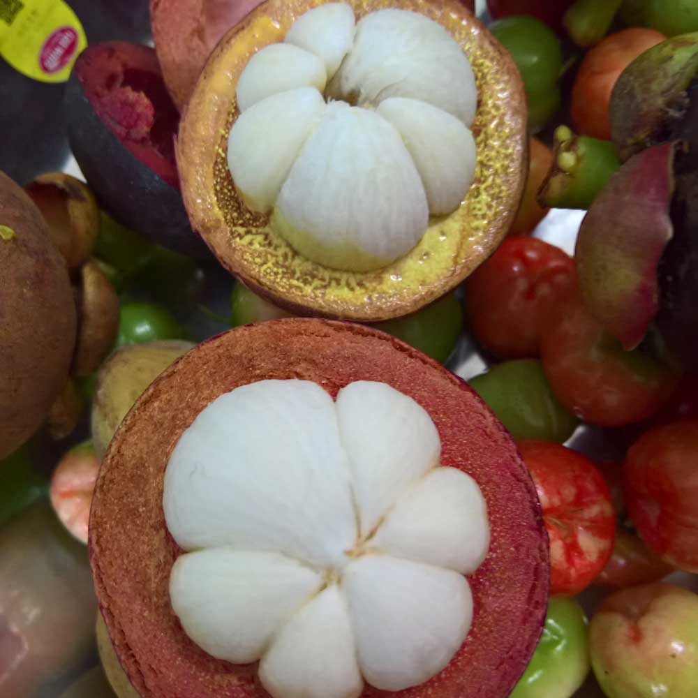 Măng cụt Cái Mơn Bến Tre