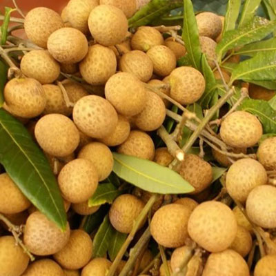 NHÃN TIÊU