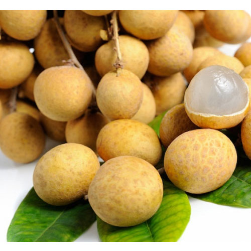 NHÃN DA BÒ
